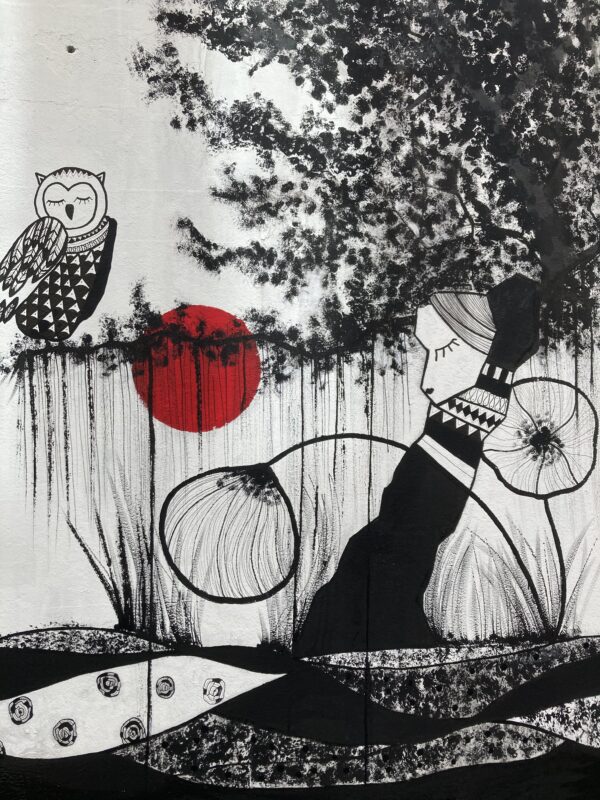 La femme canon et le saule pleureur