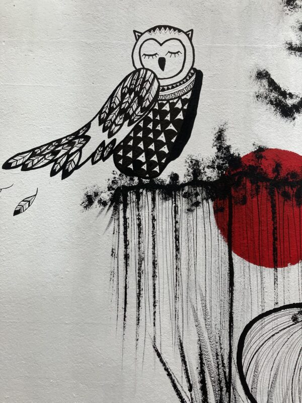 La femme canon et le saule pleureur